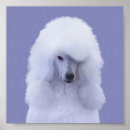 Recherche de standard poodle posters Dog
