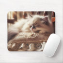 Search for ragdoll electronics Pet