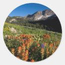 Search for wasatch stickers Alta