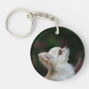 Search for long haired chihuahua keychains Looking up