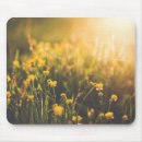 Search for buttercup mousepads Nature