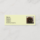 Recherche de persan cartes visite Chat