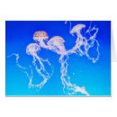 Search for monterey cards California