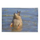 Search for duck pillowcases Cute