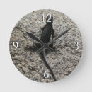 Recherche de lézards horloges Animal
