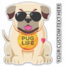 Search for pet pug bumper stickers Funny