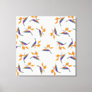 Search for bird of paradise canvas prints Beautiful