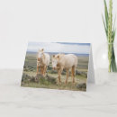 Recherche de étalon sauvage vœux cartes Ranch