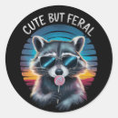 Search for funny raccoon stickers Sarcastic