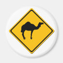 Search for animal crossing magnets Road