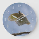 Recherche de parrots horloges Perroquet