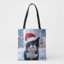 Recherche de chaton accessoires Drôle
