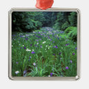 Search for iris ornaments Green