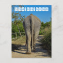 Search for sanctuary postcards Thailand