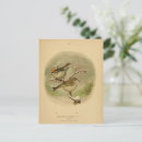 Search for vintage valentine card postcards Cute