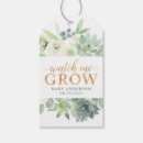 Recherche de succulent étiquettes cadeau Verdure