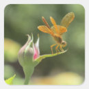 Search for love image stickers Rose