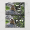 Search for funny squirrel postcards Squirrels
