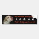 Search for bulldogs bumper stickers English
