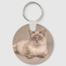 Search for ragdoll keychains Animal