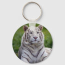Search for bengal cat keychains White bengal tiger