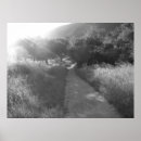 Search for pathways posters Black