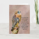 Search for limb cards Birds