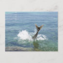 Recherche de mouvement cartes postales Horizontal