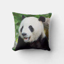 Search for giant panda pillows Smithsonian