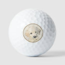Search for golden retriever golf balls Puppy