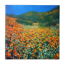 Recherche de californien carreaux Botanique