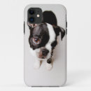 Search for full length iphone cases Animal
