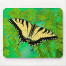 Search for tiger swallowtail mousepads Close up