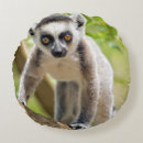 Search for lemur pillows Baby