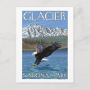 Search for bald postcards States