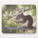 Search for wild one mousepads Outdoors