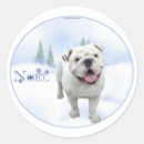 Recherche de despotes cadeau emballages Noël