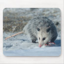Recherche de opossum tapis souris Faune