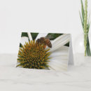 Recherche de pollen photographie Floral