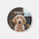 Recherche de anniversaire mignon magnets Garder