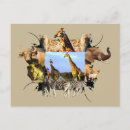 Recherche de herbs cartes postales Afrique