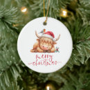Search for sleep ornaments Merry christmas