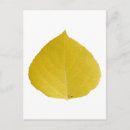 Search for yellow leafs postcards Nature