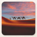 Search for camels coasters Landscape