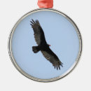 Search for turkey ornaments Outdoors