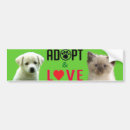 Search for adopt bumper stickers Dog