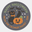 Search for cat pumpkin stickers Gender neutral