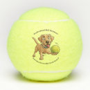 Search for dog tennis balls Labrador retriever