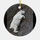 Search for climbing round ornaments Outdoor