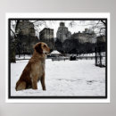 Search for central park winter posters Skyline
